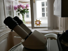 Edelsteine in verschiedensten Farbnuancen